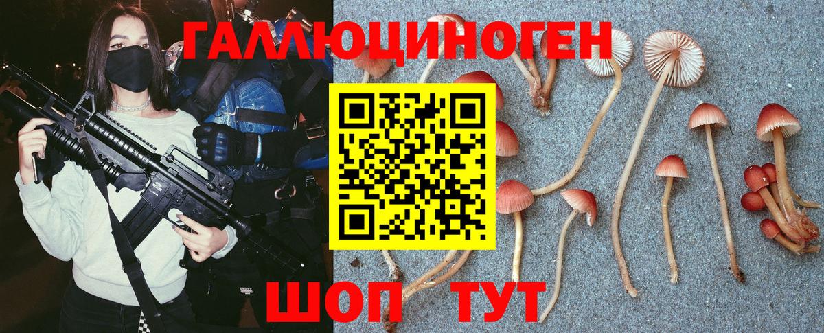 Псилоцибиновые грибы Cubensis  Псилоцибиновые грибы мицелий  Вход с VPN  Биробиджан 