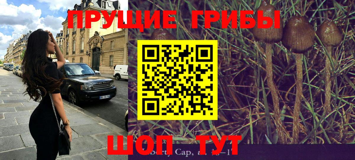 Псилоцибиновые грибы прущие грибы Биробиджан